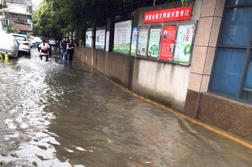 解放路学校爆料视频最新,揭秘校园内幕,引发社会关注 第1张 解放路学校爆料视频最新,揭秘校园内幕,引发社会关注 第1张